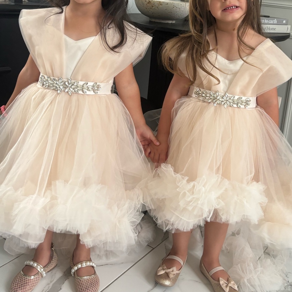 Cream Tulle Flower Girl Dresses with Silver Accents 3t and 4t both for $250